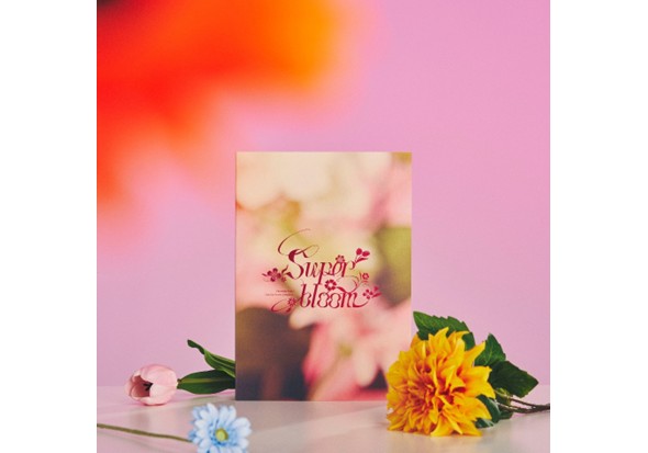 オフィシャルパンフレット 
- Superbloom -