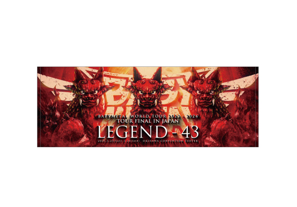 「LEGEND-43」スポーツタオル